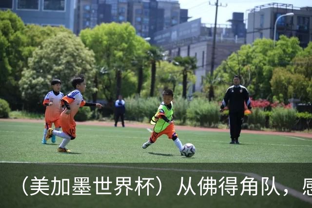（美加墨世界杯）从佛得角队，感受足球的动人